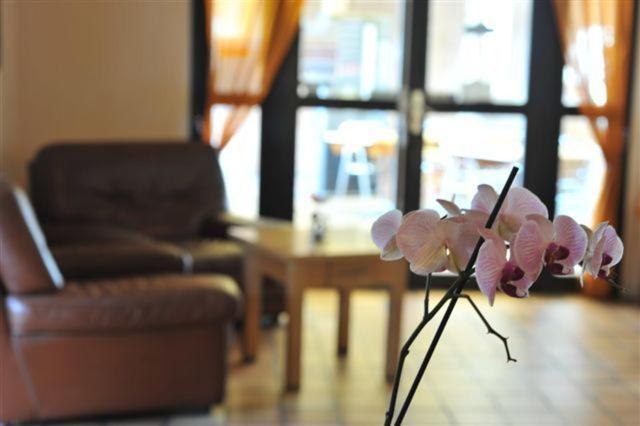 Sure Hotel By Best Western Mougins Belvedere Buitenkant foto